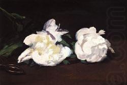 Edouard Manet Branch of White Peonies and Shears china oil painting image